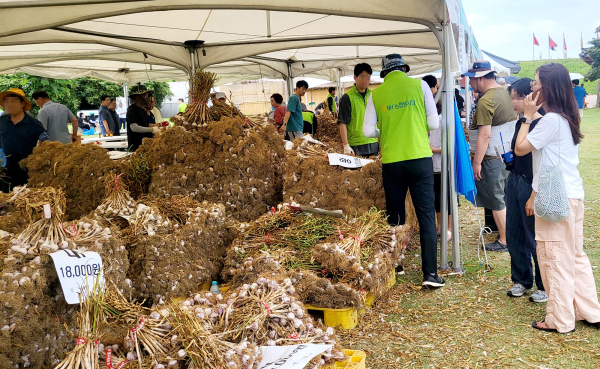서산해미읍성 일원에서 지난 6월 28일부터 30일까지 개최된 제15회 서산6쪽마늘축제 현장 모습