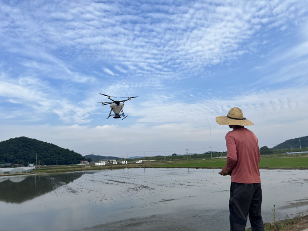 드론 활용 가루쌀 파종 시연 모습
