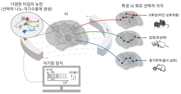 나노-MIND 기술 개요. 특정 뉴런 및 뇌 회로 선택적 제어에 의한 고차원적 뇌 기능 조절