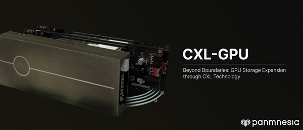 CXL-GPU
