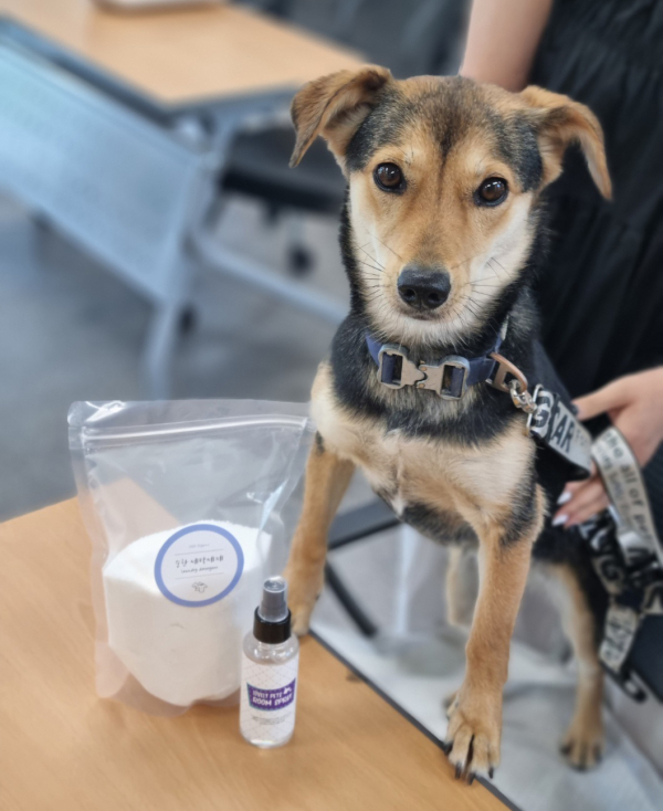 지난 5월 25일부터 7월 6일까지 진행된 반려동물 문화교실(반려동물 아로마테라피)