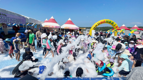 지난해 7월 15일부터 한 달간 운영된 야외 물놀이장과 여름 테마파크