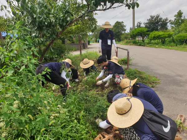 7.17일~20일까지 전라북도 군산시 성산면을 방문해 농촌 봉사 활동을 펼치고 있다.