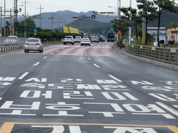 청룡초 앞 어린이보호구역 사진