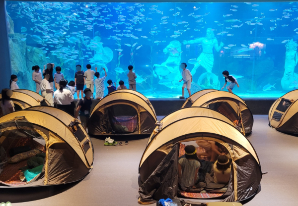 지난 '사이언스 나이트 캠프’ 진행 모습