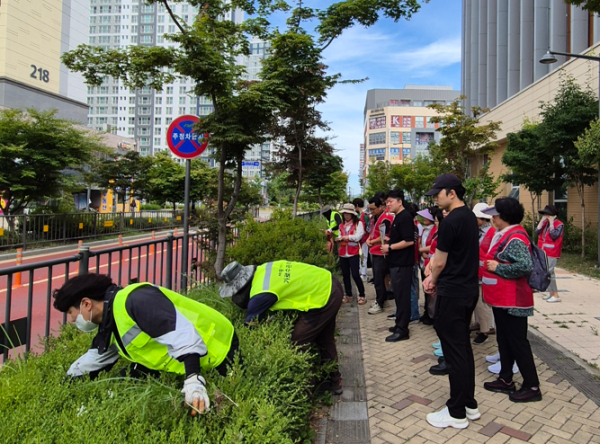 가로수돌보미 찹초제거 활동