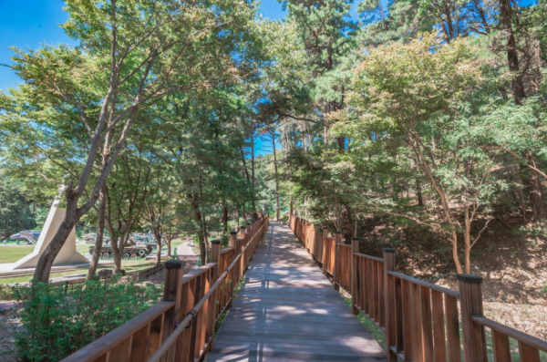 태조산 무장애나눔길