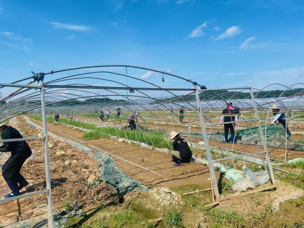수해복구중인 충남도 교통건설국 직원들