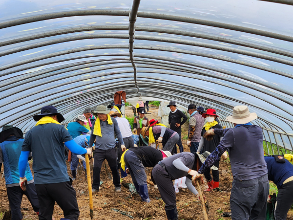 청양군 주민자치연합회 수해복구활동 모습