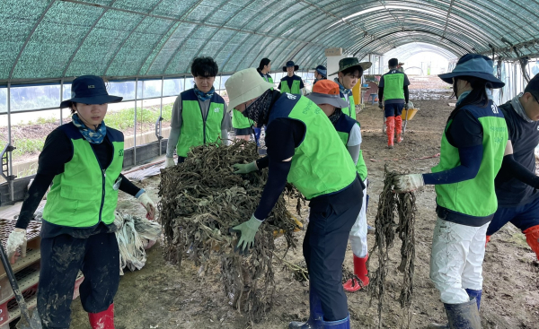 집중호우 피해입은 전북 익산 농가 수해 복구 현장   * 수해복구 중인 한국농수산식품유통공사 전북지역본부 직원들