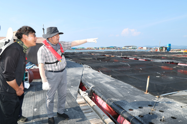 9일 천수만 해역 가두리 양식장을 찾은 가세로 군수.(구매항)