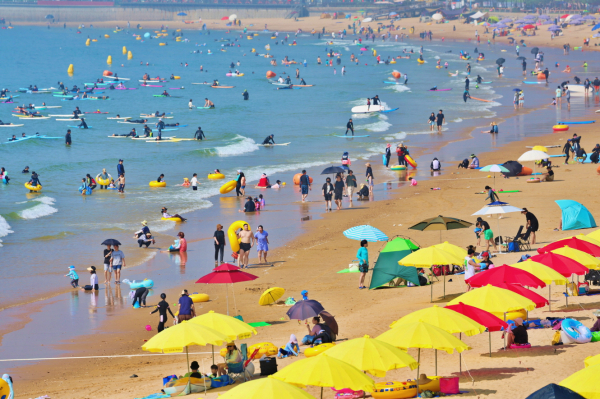 올해 태안지역 해수욕장을 찾은 피서객들(만리포 모습)