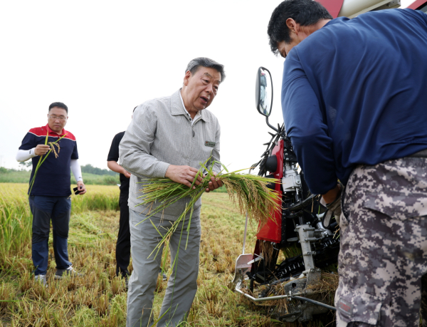 가세로 군수 첫 벼수확 시행지 참관