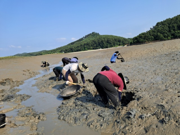 충남 귀어학교 현장실습