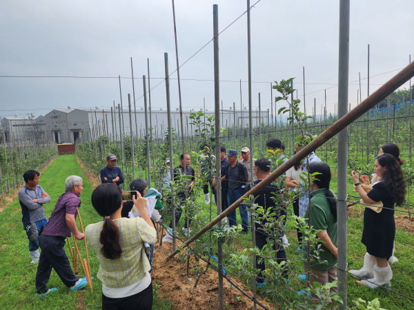 미래형 사과 다축과원 현장 컨설팅 진행 모습