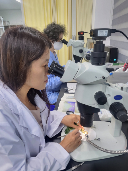 딸기 적기 정식을 위한 종합 검경서비스