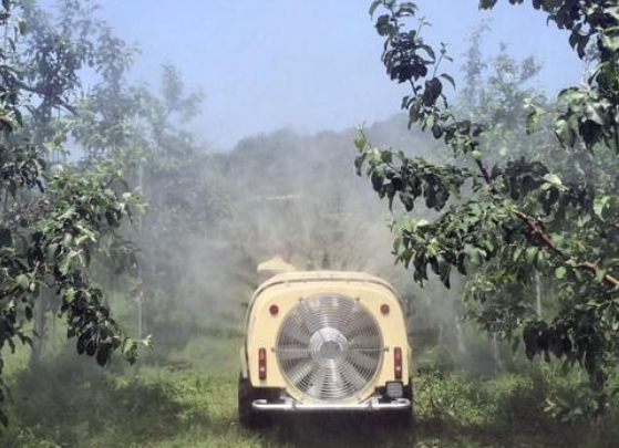 과수농가 돌발해충 방제 모습