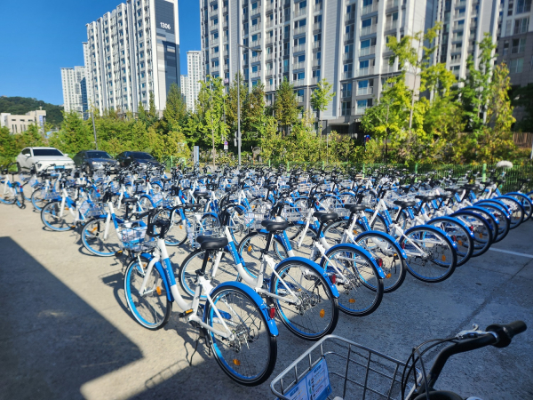 신규 배치되는 어울링