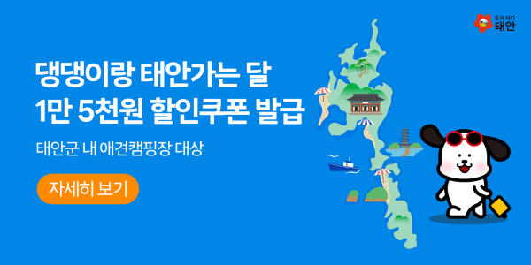 ‘캠핏’ 및 ‘땡큐캠핑’ 쿠폰 발급 안내 페이지.