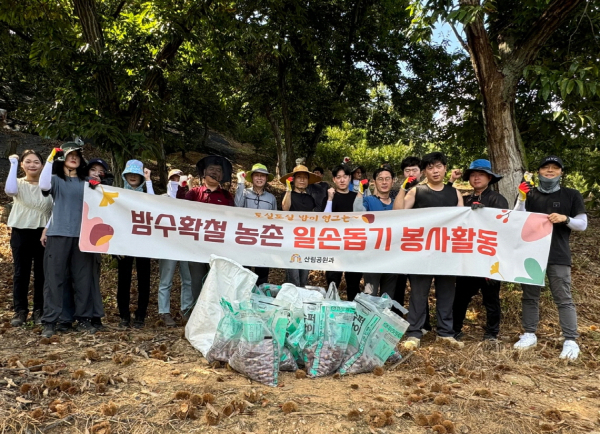 밤 재배농가 돕기 일손돕기 창구 운영 (알밤 줍기 봉사활동 모습)