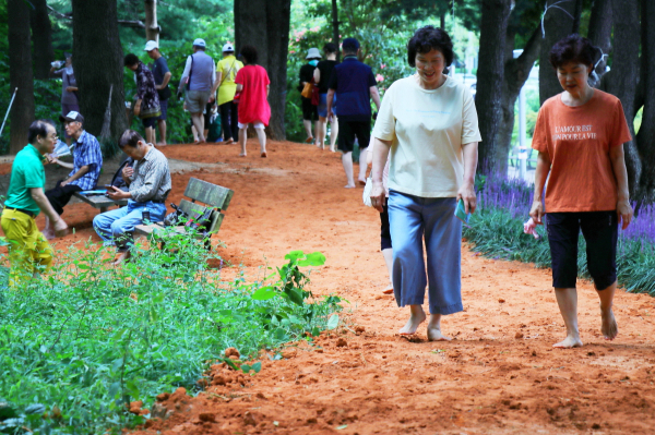 대전 유성구 계룡스파텔 황톳길 모습