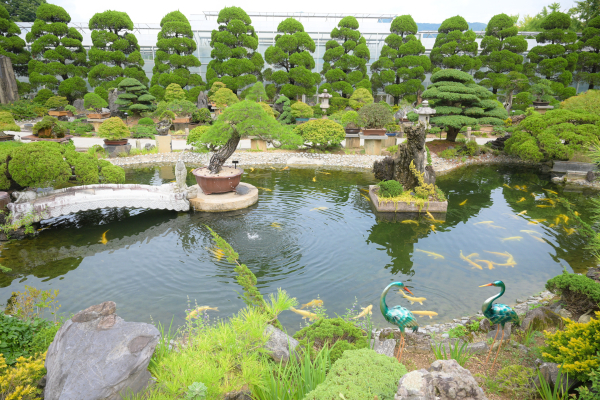 베어트리파크 분재전시회 행사장