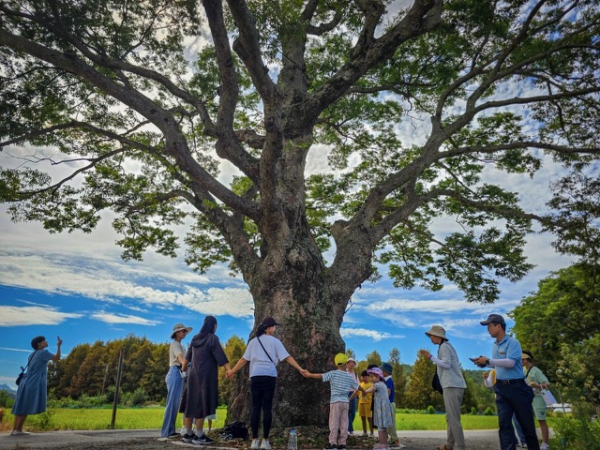 유성구 성북동 일대에서 ‘숲에서 찾은 나, 그리고 우리’공정관광 프로그램 운영 모습