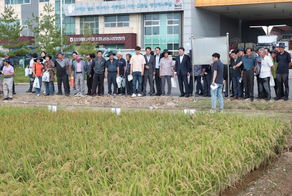 벼농사 종합평가회 사진
