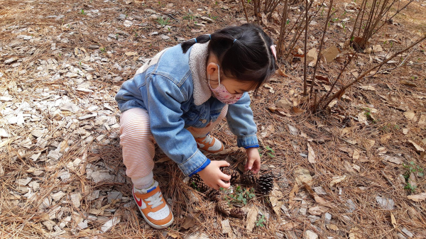 유아숲체험교육 중 자연과 교감하는 아이의 모습