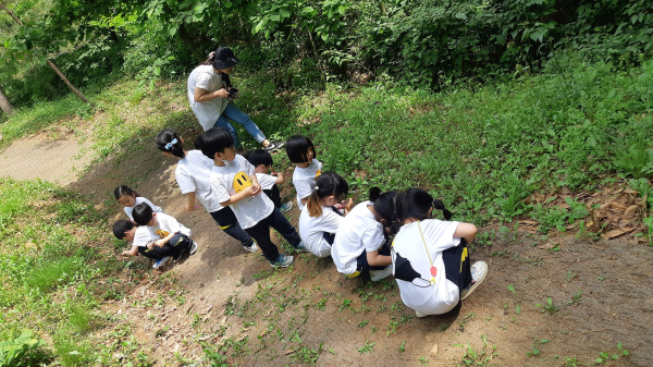 지난해 8월 운영된 특별프로그램 모습