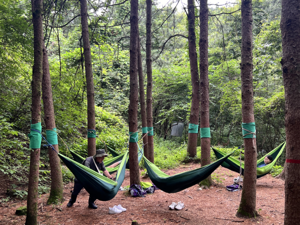 지난 9월 한국산림과학교등학교 학생들이 ‘숲에 안기다’ 산림치유프로그램에 참여하고 있다.