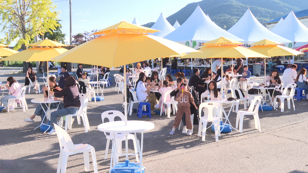 2024 의좋은형제 축제