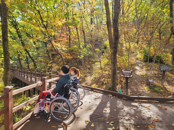 산림치유원 방문객이 데크로드 쉼터에서 잠쉬 휴식을 취하고 있다.