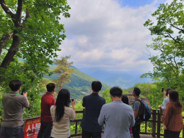산림치유원 방문객이 데크로드 쉼터에서 소백산 경치를 바라보고 있다.