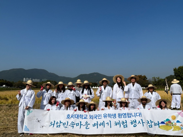 호서대학교 외국인 유학생이 전통 벼 베기 체험에 참여한 사진.