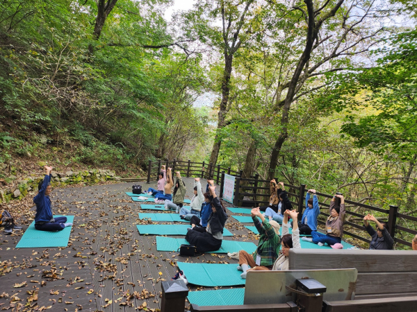 용인시청 직원 가족 대상 '숲여행-힐링제천' 운영 모습