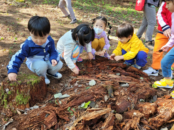 김천 00어린이집 어린이들이 지난 14일 김천치유의숲 치유놀이터에서 곤충아파트(비오톱) 체험을 하고 있다.