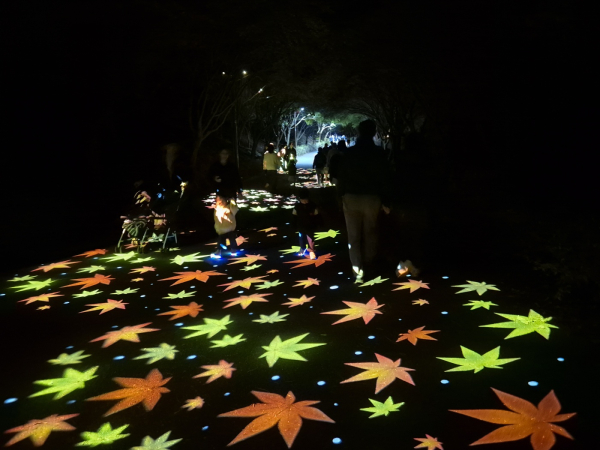 지난 20일 관광객들이 야간경관 투어버스를 이용하고 있다.