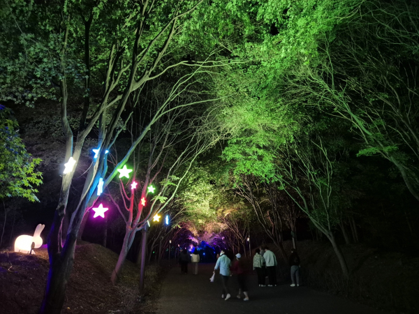 지난 20일 관광객들이 야간경관 투어버스를 이용하고 있다.