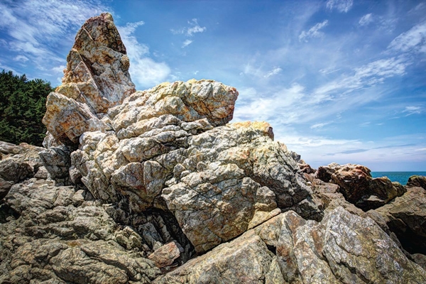 고지훈 학생의 '석파'(石波)