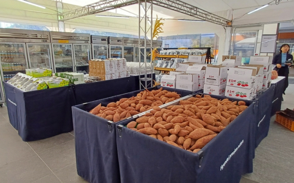 대전 현대아울렛에 마련된 홍보 부스 모습.