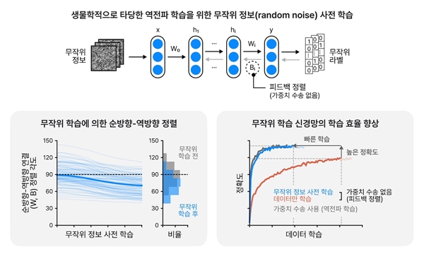 무작위 정보 훈련의 방법과 그 효과를 모사하는 그림