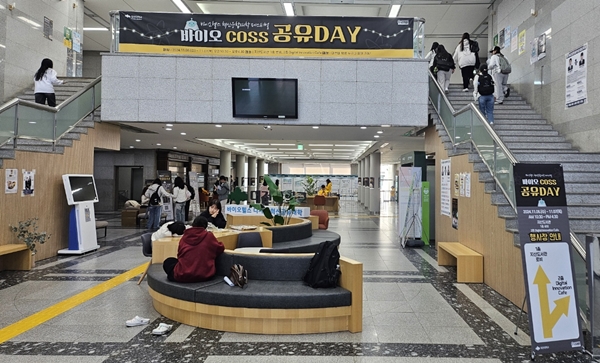 공유데이 페스티벌