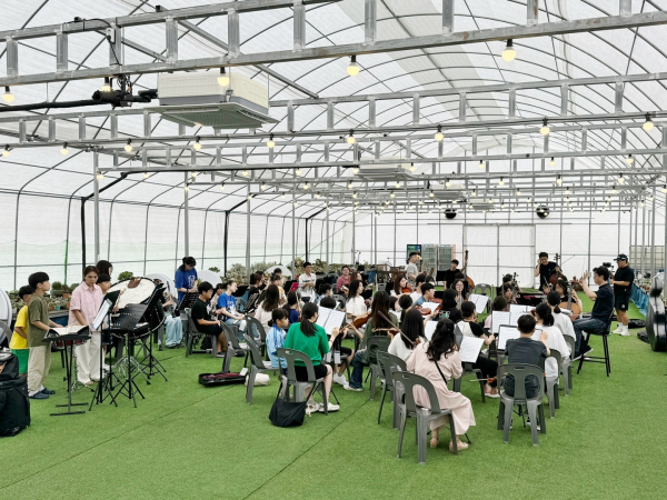 여름 음악 캠프 현장 사진