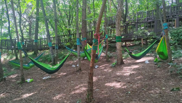 교직원 직무연수 프로그램 ‘포레스트 에듀힐링’ 캠프에 참여한 교원들이 숲속 해먹을 통하여 숲 명상 프로그램을 체험하고 있다.
