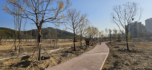 방위사업청 이전 부지 수목, 생명의 숲으로 재탄생한다(수시보도)_사진(수목 이식)