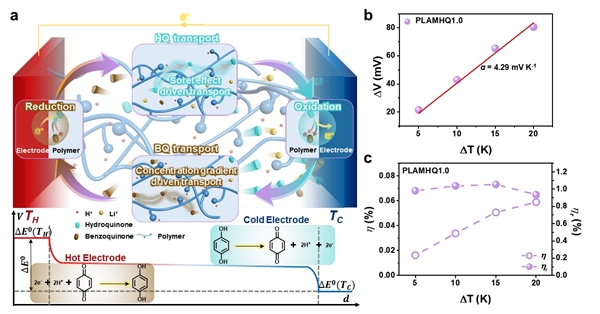 열역학적 평형을 통한 열전 소자의 구동 메커니즘과 성능 특성