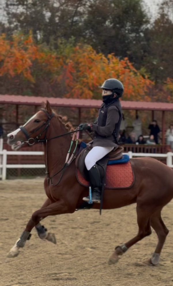 제2회 풀뿌리 승마대회