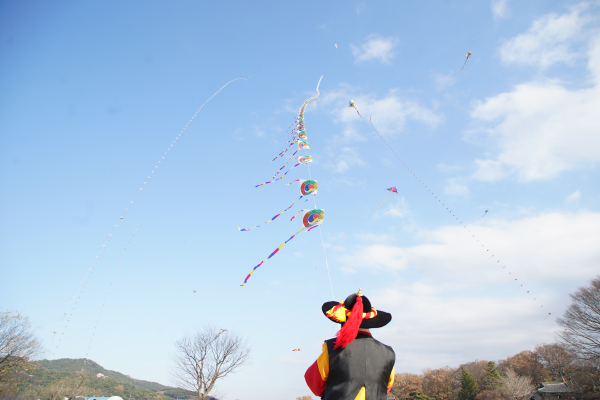 지난해 12월 2일 열린 제8회 서산해미읍성 전국 연날리기 대회