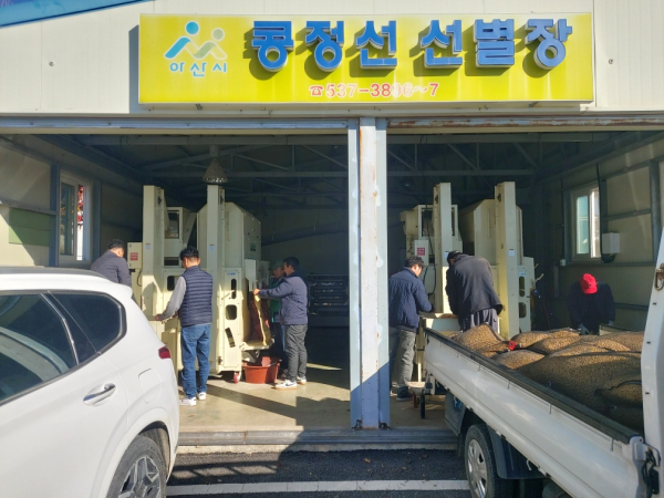 농업기계 임대사업소 콩 선별장 현장